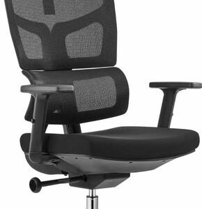 כסא משרדי אורטופדי President (שחור)