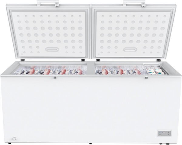 ⁦מקפיא תעשייתי ענק RFK-785P זק"ש⁩ – תמונה ⁦1⁩