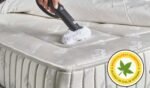 ⁦מנקה בקיטור Vaporetto Classic 65 מבית POLTI ITALY⁩ – תמונה ⁦8⁩