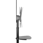 ⁦TTV03-46TW עגלת טלויזיה "70-"37 עד 50 ק"ג מבית LUMI⁩ – תמונה ⁦2⁩